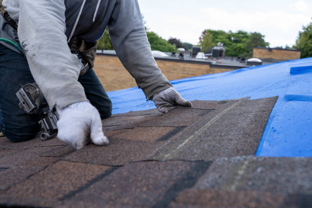 Best Metal Roofing Contractor  in Houserville, PA
